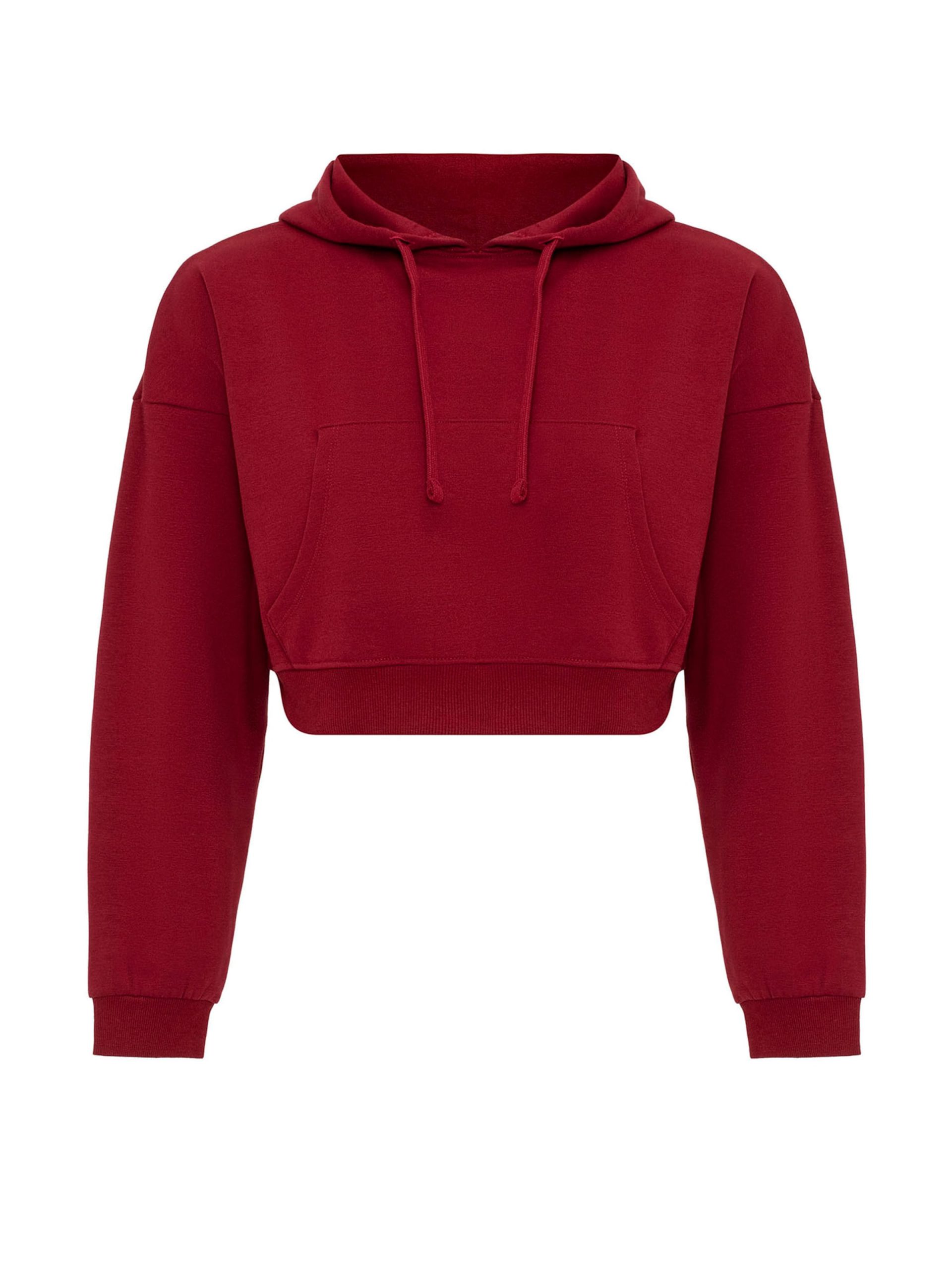 Sudadera Jacey Quinn en Burdeos 21901999 Venta en línea